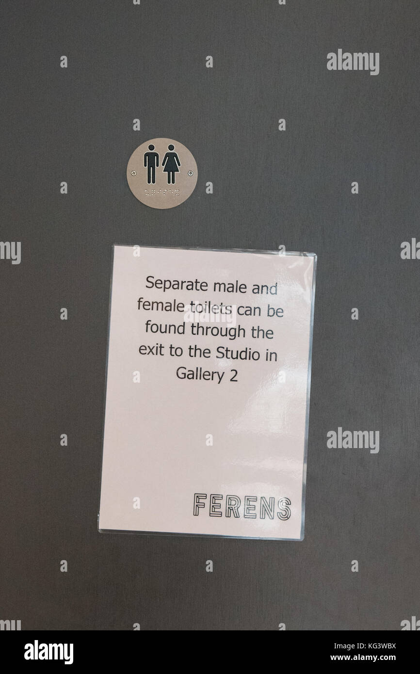 Toilette unisex in Ferens Art Gallery, Hull, East Yorkshire, Inghilterra, Regno Unito Foto Stock