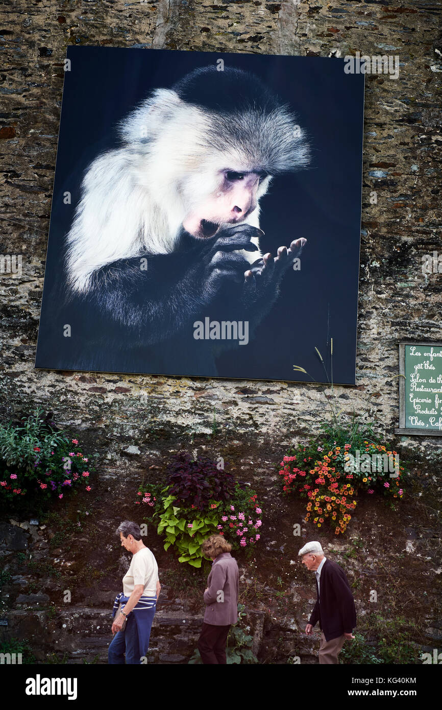 Tim Flach's Animal Studio Fotografie in mostra nel festival di fotografia all'aperto a la Gacily Morbihan Bretagna Francia luglio 2017 Foto Stock