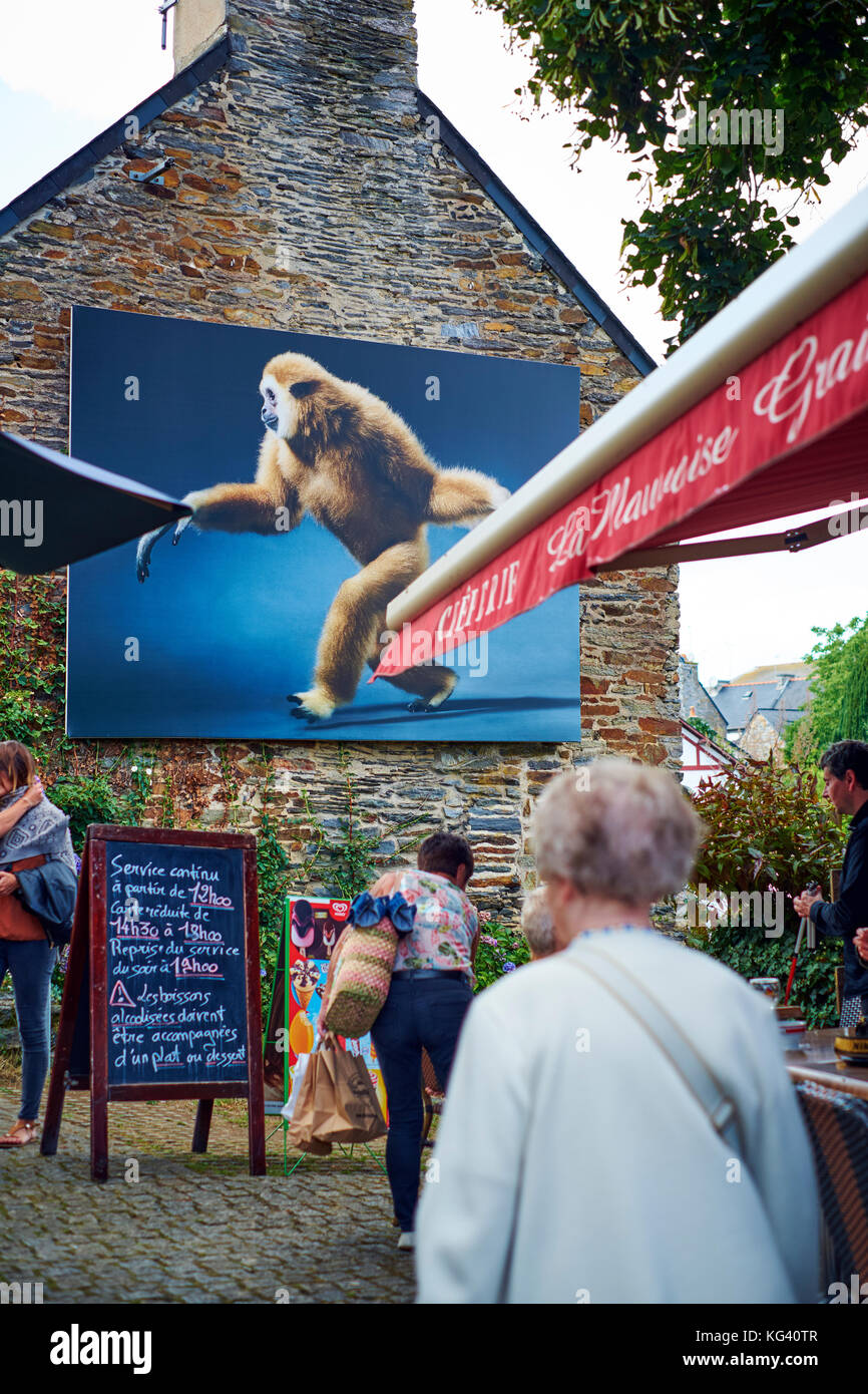 Tim Flach's Animal Studio Fotografie in mostra nel festival di fotografia all'aperto a la Gacily Morbihan Bretagna Francia luglio 2017 Foto Stock