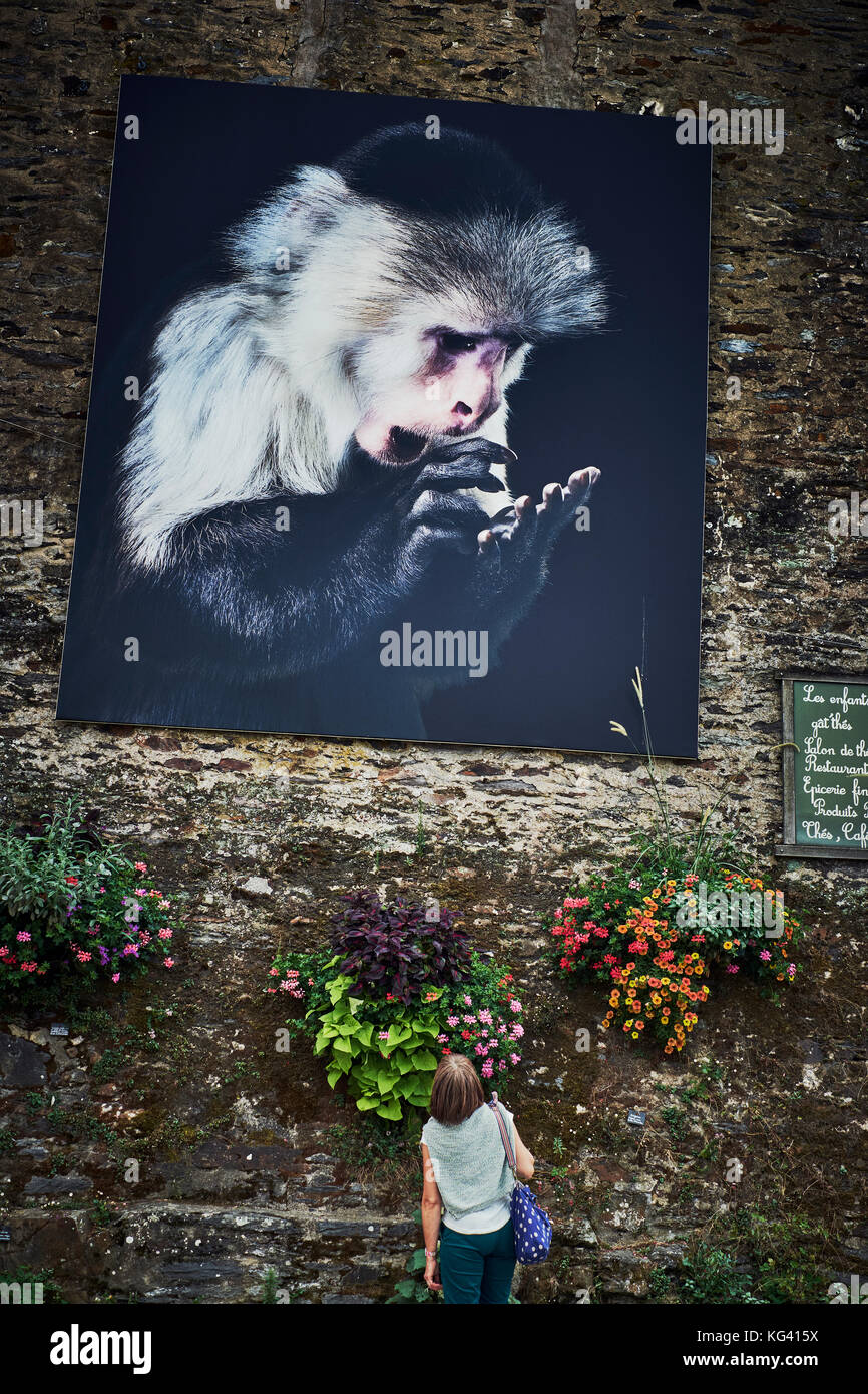 Tim Flach's Animal Studio Fotografie in mostra nel festival di fotografia all'aperto a la Gacily Morbihan Bretagna Francia luglio 2017 Foto Stock