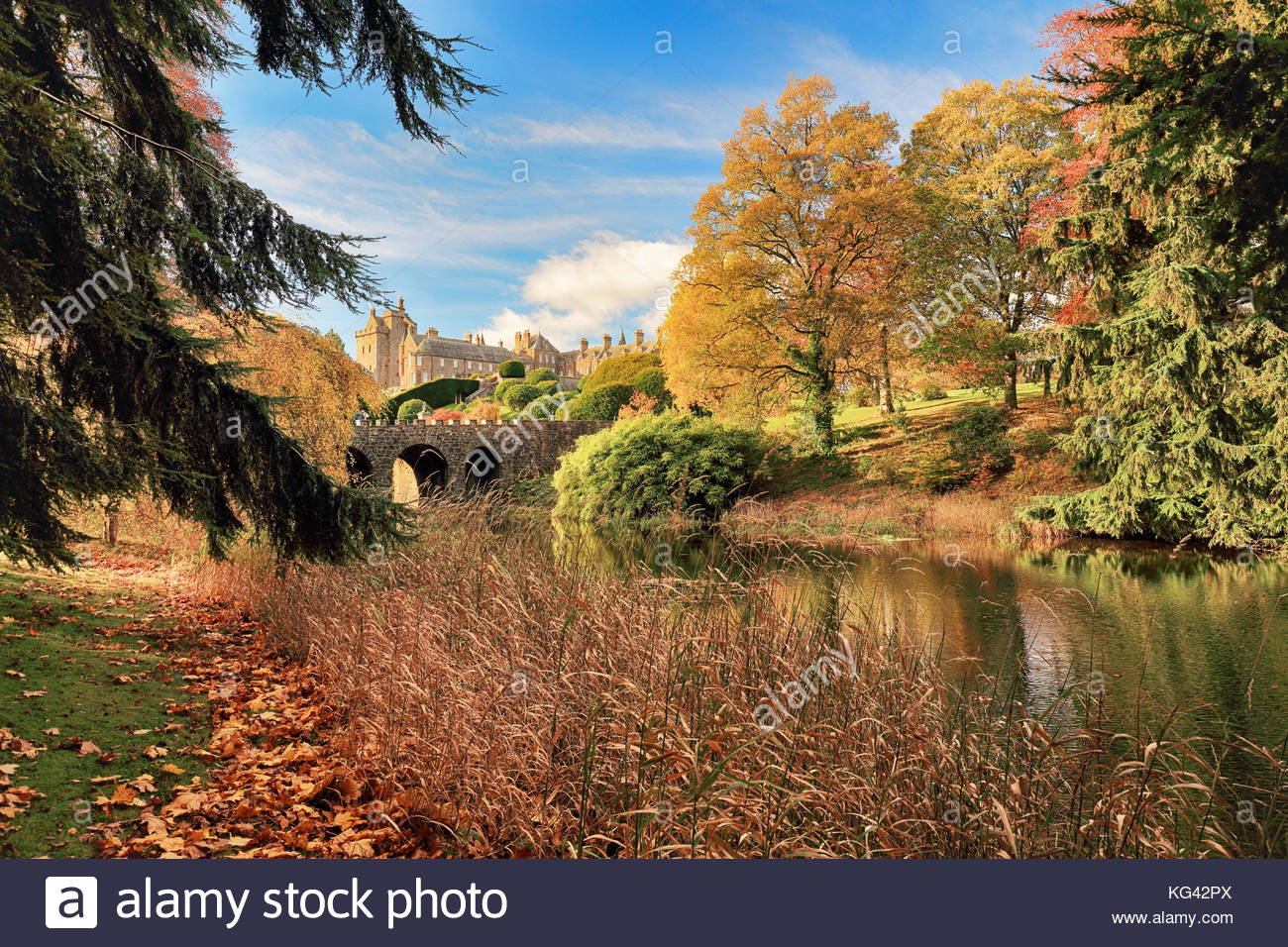 Autumn Tree riflessioni da un laghetto in Drummond Castle Gardens. Crieff, Perth and Kinross. Foto Stock