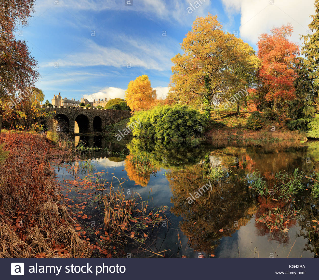 Autumn Tree e riflessioni a ponte da un laghetto in Drummond Castle Gardens. Crieff, Perth and Kinross. Foto Stock