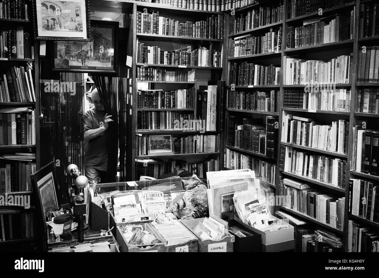 David Rodes, proprietario della libreria Rodes, esce dal negozio di articoli che ha nella via Banys Nous di Barcellona, Spagna. Data: 18/09/2015. Foto: Xabier Mikel Laburu. Finanziato nel decennio degli anni '20 da suo nonno, Rodes è specializzato in libri antichi. È stato davanti al negozio da 20 anni, dopo il ritiro del padre. David dice che non ha sostituto per il futuro, ma la sua intenzione è di andare in pensione con il negozio se il noleggio non diventa costoso. Foto Stock