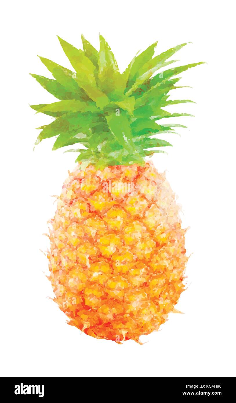 Acquerello ananas frutta su bianco Illustrazione Vettoriale