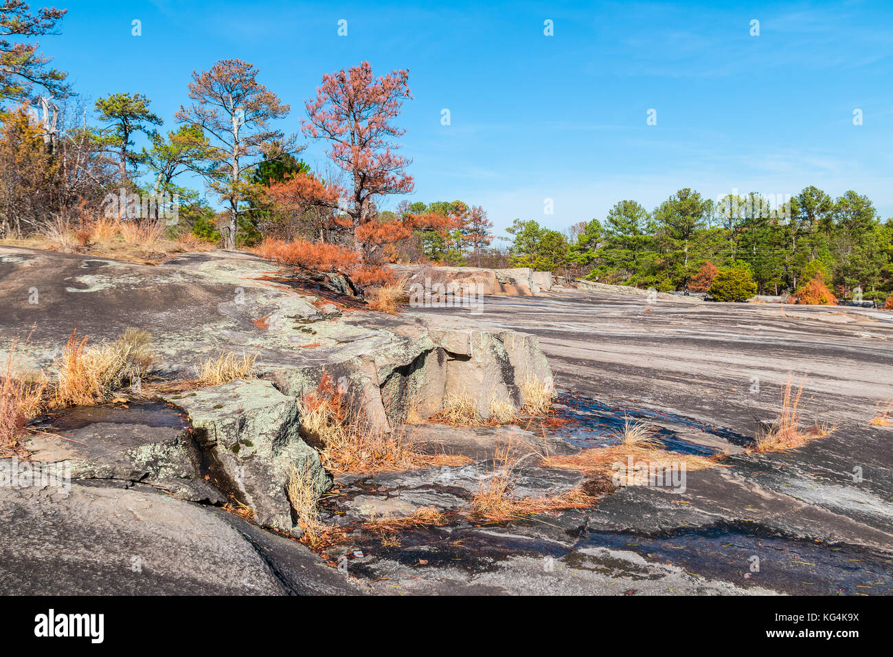 Paesaggio con alberi e terra di pietra in Stone Mountain Park nella soleggiata giornata autunnale, georgia, Stati Uniti d'America Foto Stock