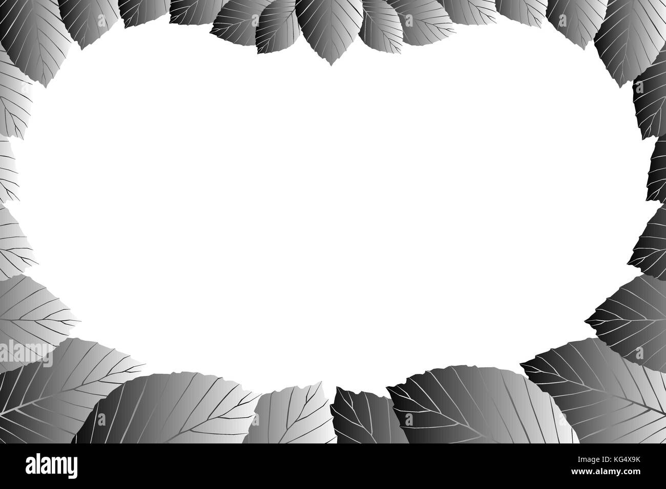 Grigio foglia di faggio su uno sfondo bianco - vettore frame (Fagus sylvatica) Illustrazione Vettoriale