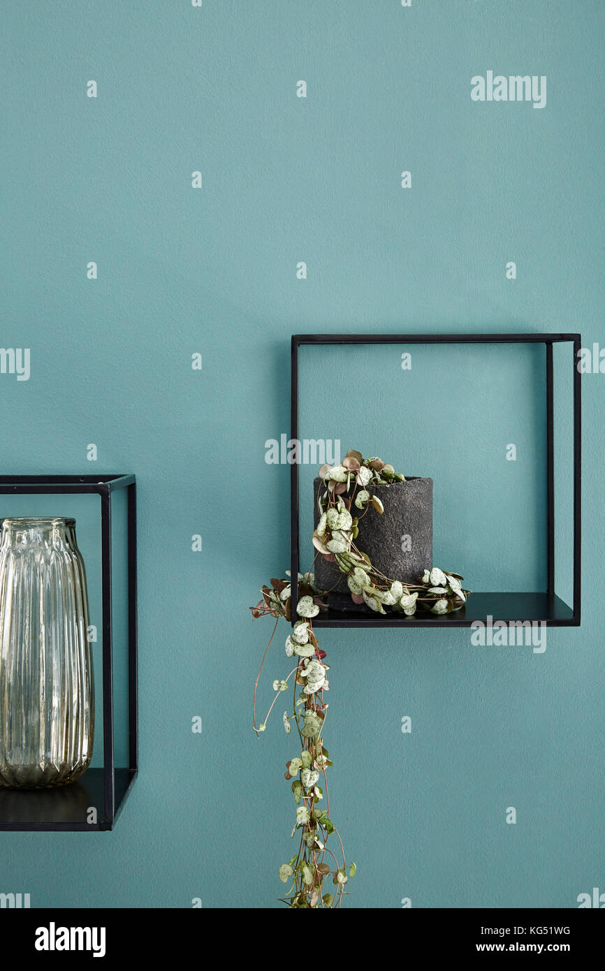 Decorate ripiano pianta verde parete benzina interni dal design moderno Foto Stock