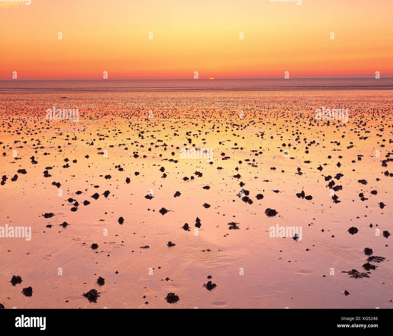 Isole del Canale. Guernsey. Torniture di worm sulla spiaggia al tramonto. Foto Stock