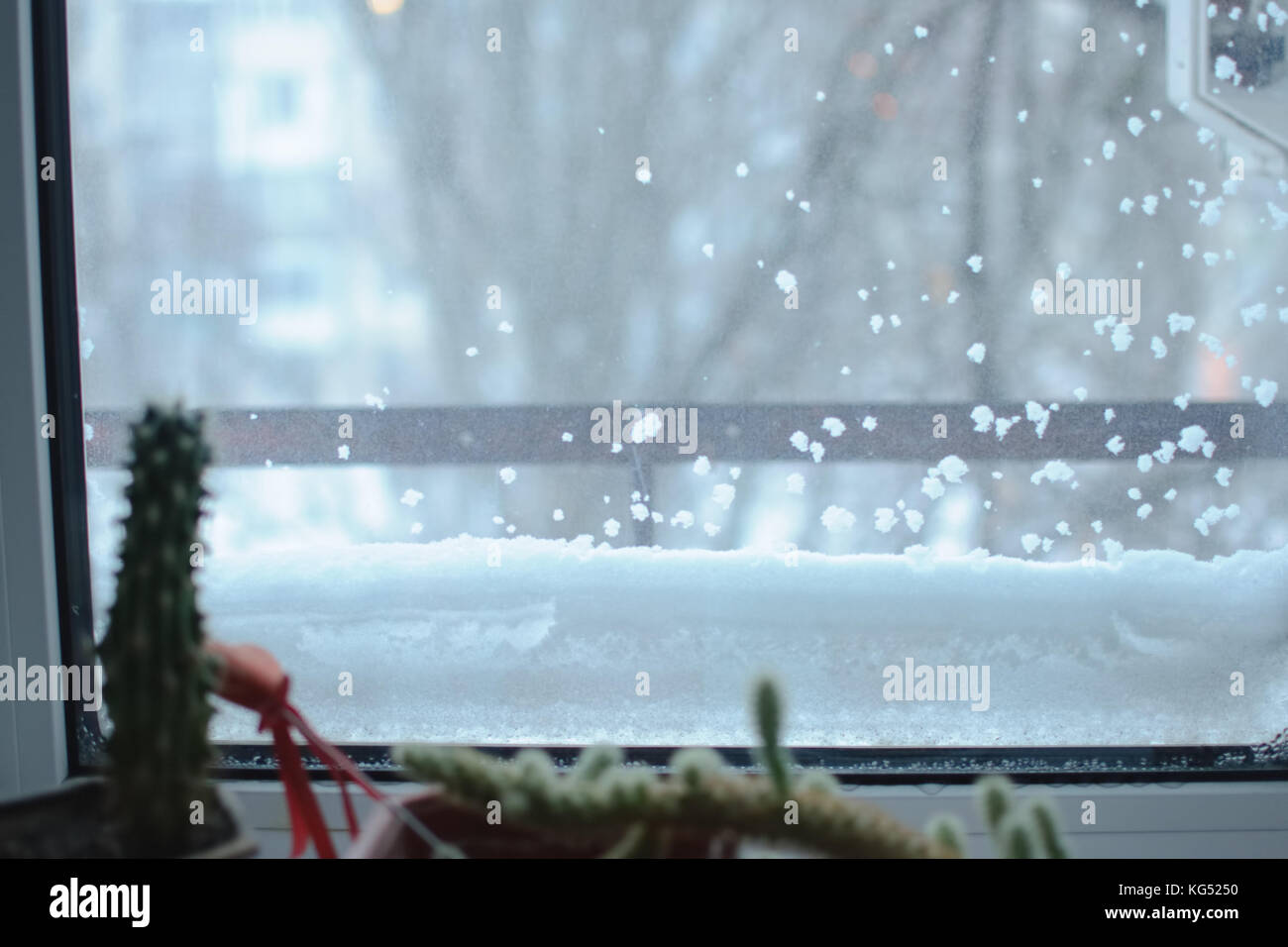 Snowbound window close-up e cactus su un davanzale stagionali. condizioni di tempo di inverno. nevoso inverno sfondo. Foto Stock