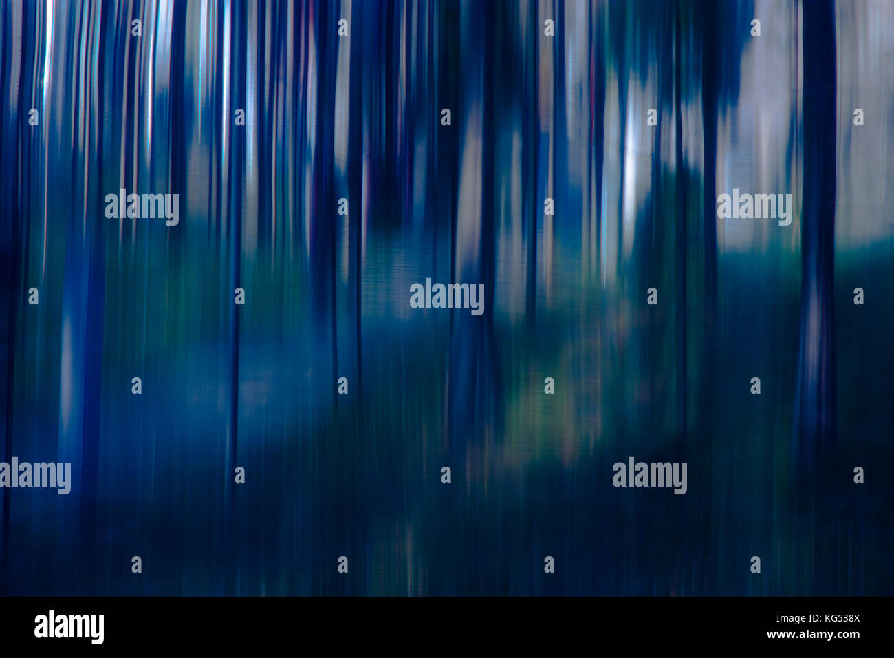 Sfocata morbida e liscia alberi della foresta , paesaggio impressionista onirico dettaglio Foto Stock