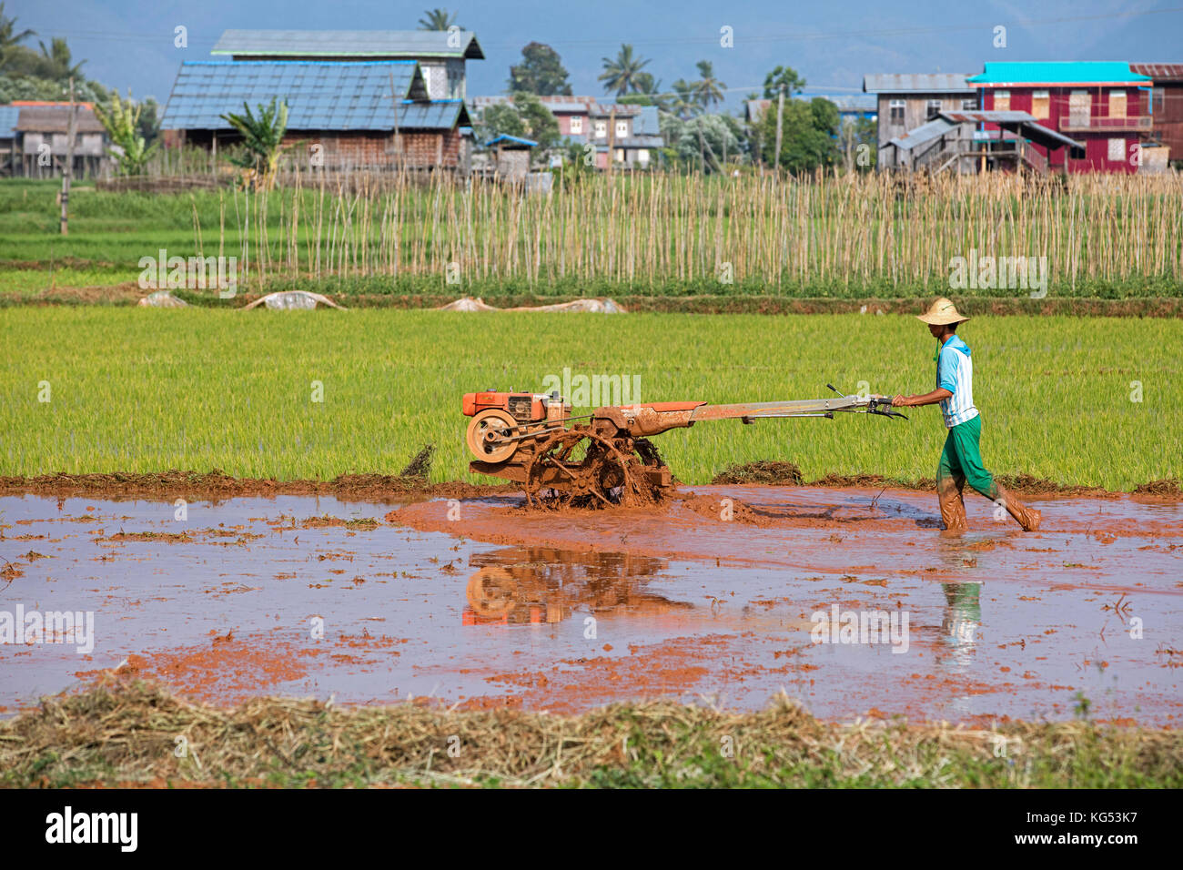L'agricoltore birmano di aratura del campo di riso con aratro meccanico / motore aratro nella nyaungshwe township di taunggyi distretto, stato shan, myanmar / BIRMANIA Foto Stock