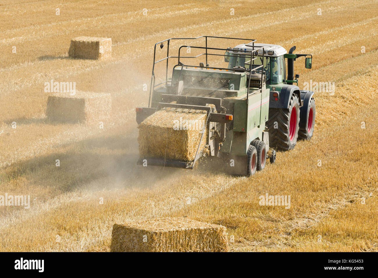 Il trattore si raccoglie il fieno secco sul campo di fattoria e rende le balle di fieno Foto Stock