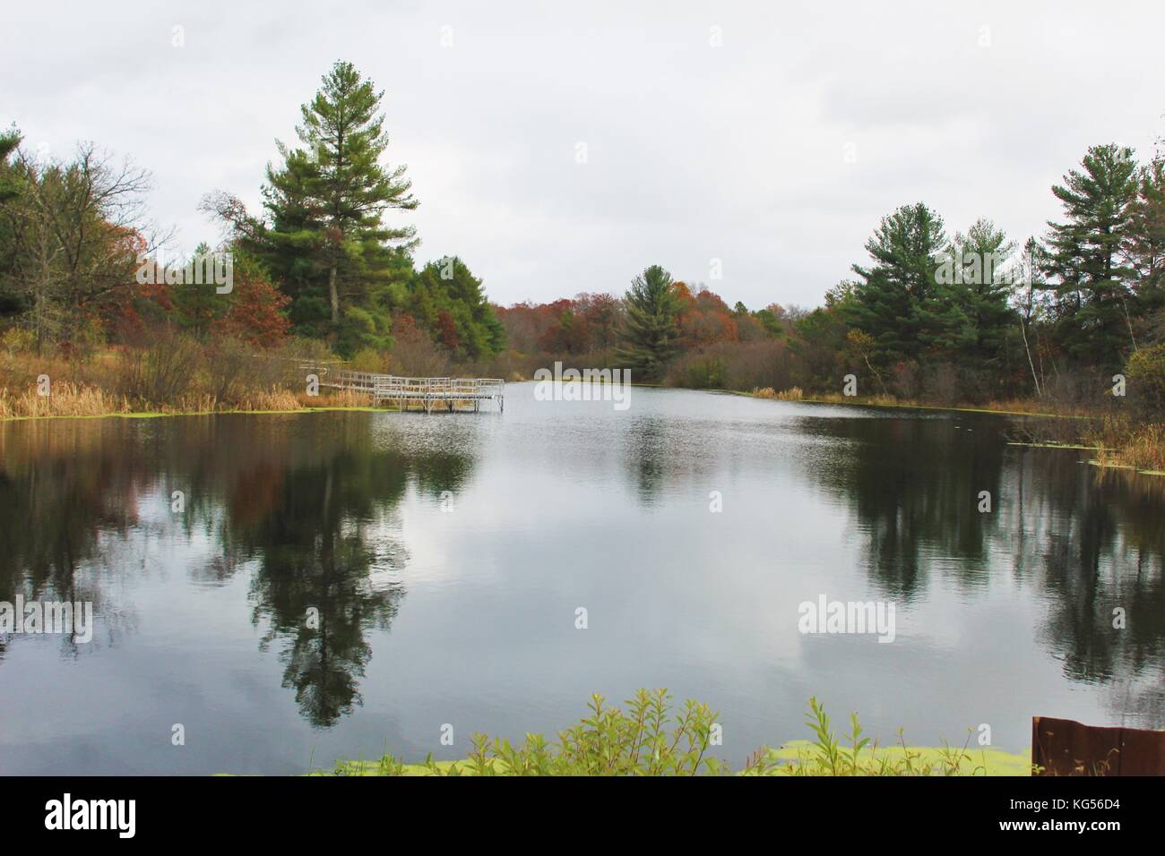 Colori d'autunno Foto Stock