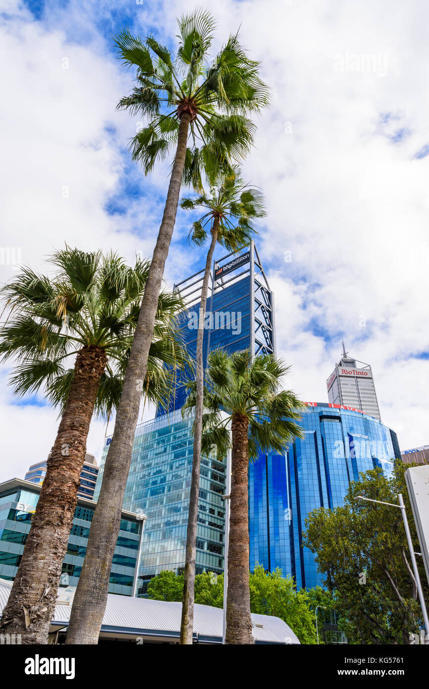 Palme e grattacieli del CBD di Perth compresi BHP Billiton e Rio Tinto, Perth, Australia occidentale, Australia Foto Stock