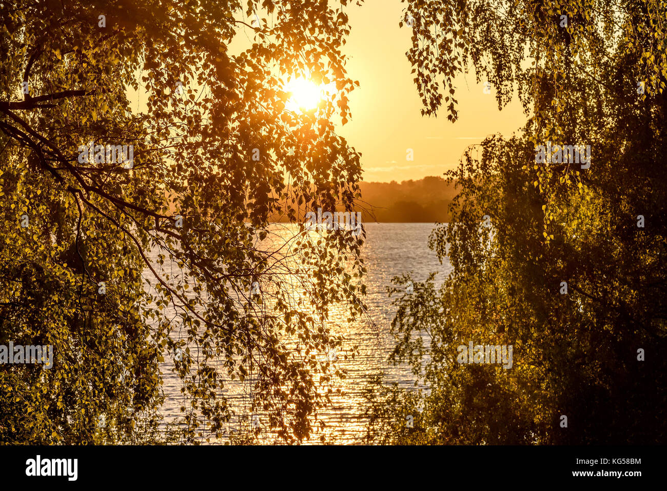Bella vista dalla riva attraverso le foglie e rami di betulle sul fiume, il sole e i riflessi sull'acqua in orange la luce del tramonto Foto Stock
