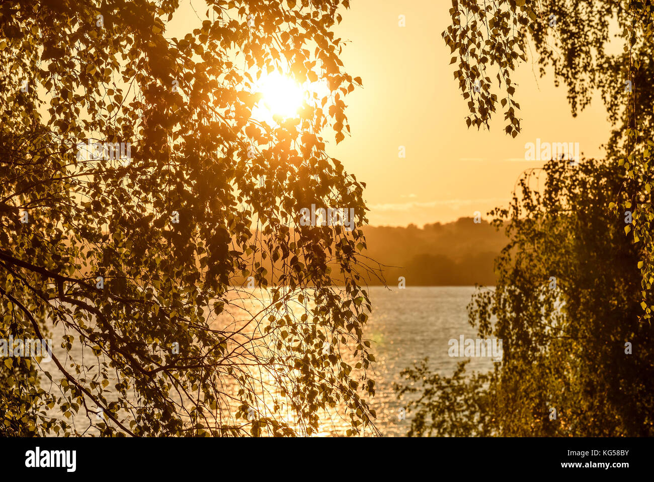 Bella vista dalla riva attraverso le foglie e rami di betulle sul fiume, il sole e i riflessi sull'acqua in orange la luce del tramonto Foto Stock