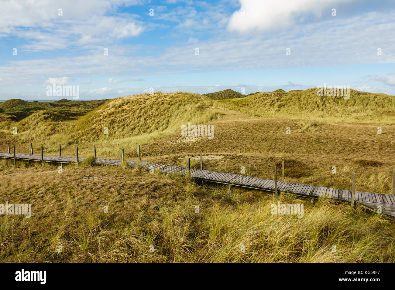Dune sulla costa del mare del nord dell'isola amrum, Germania. Foto Stock