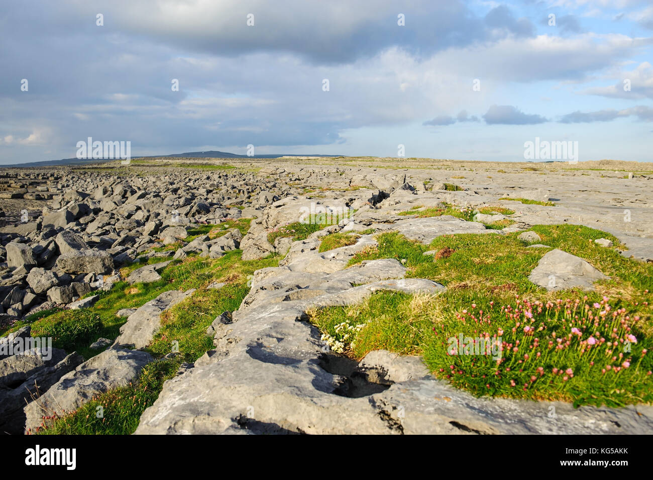 Pavimentazione in calcare a Burren , County Clare, Repubblica di Irlanda Foto Stock
