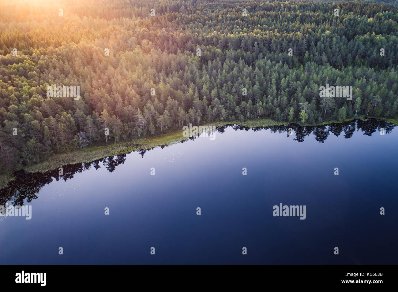 Angolo di altissimo vista aerea di un laghetto e la foresta in Kurjenrahka National Park, Finlandia Foto Stock