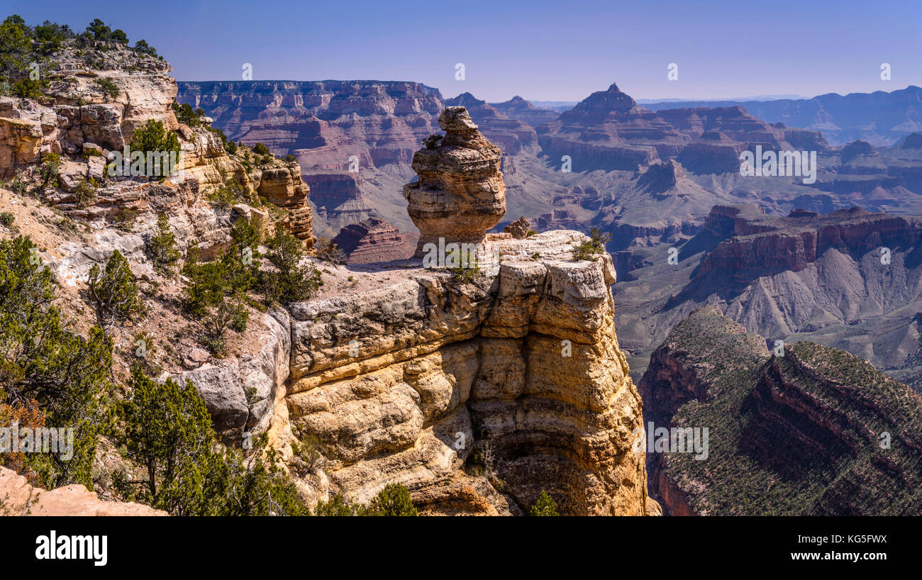 USA, Arizona, Grand Canyon National Park, South Rim, Ducking su una roccia vicino Grandview Point Foto Stock