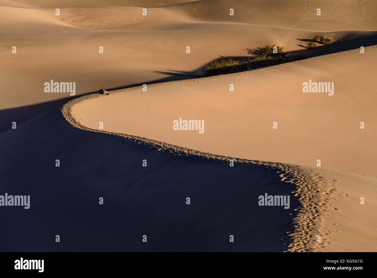 Gli Stati Uniti, California, Parco nazionale della Valle della Morte, tubo da stufa di pozzi, mesquite flat dune di sabbia Foto Stock