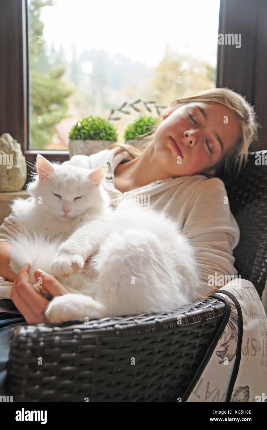 Le ragazze con il bianco longhair cat nel braccio, metà ritratto Foto Stock
