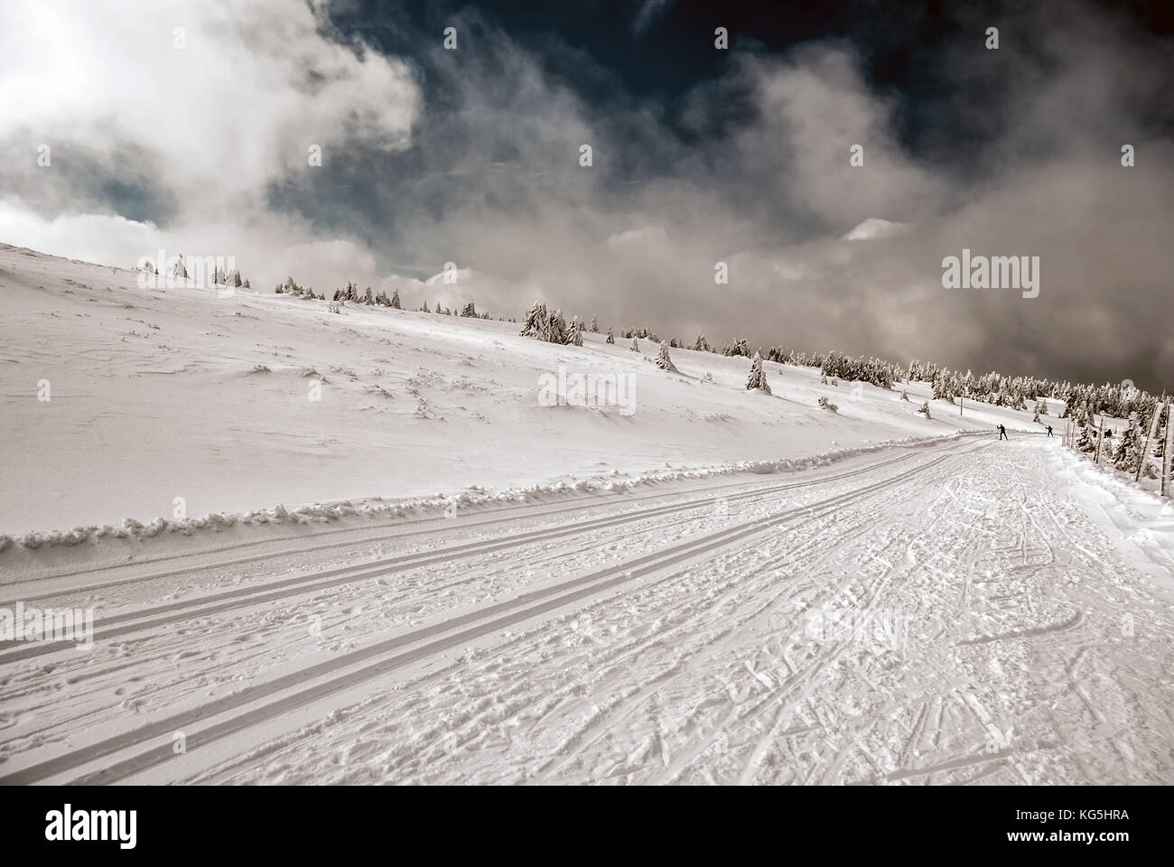 Bella giornata invernale con neve, pochi alberi, cielo blu con nuvole e sci di fondo via con gli sciatori sullo sfondo vicino praded hill in jeseniky m Foto Stock