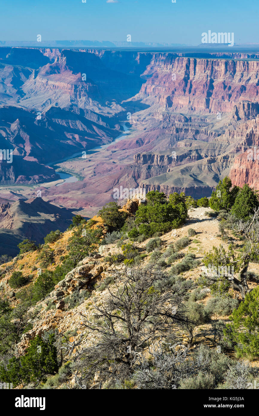 Deserto punto di vista sul Grand Canyon, Arizona, Stati Uniti d'America Foto Stock