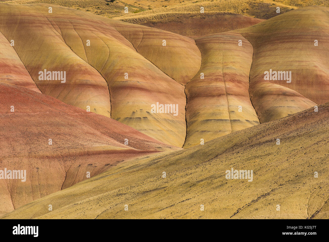 Le colorate colline delle colline dipinte nel John Day Fossil Beds National Monument, Oregon, USA Foto Stock