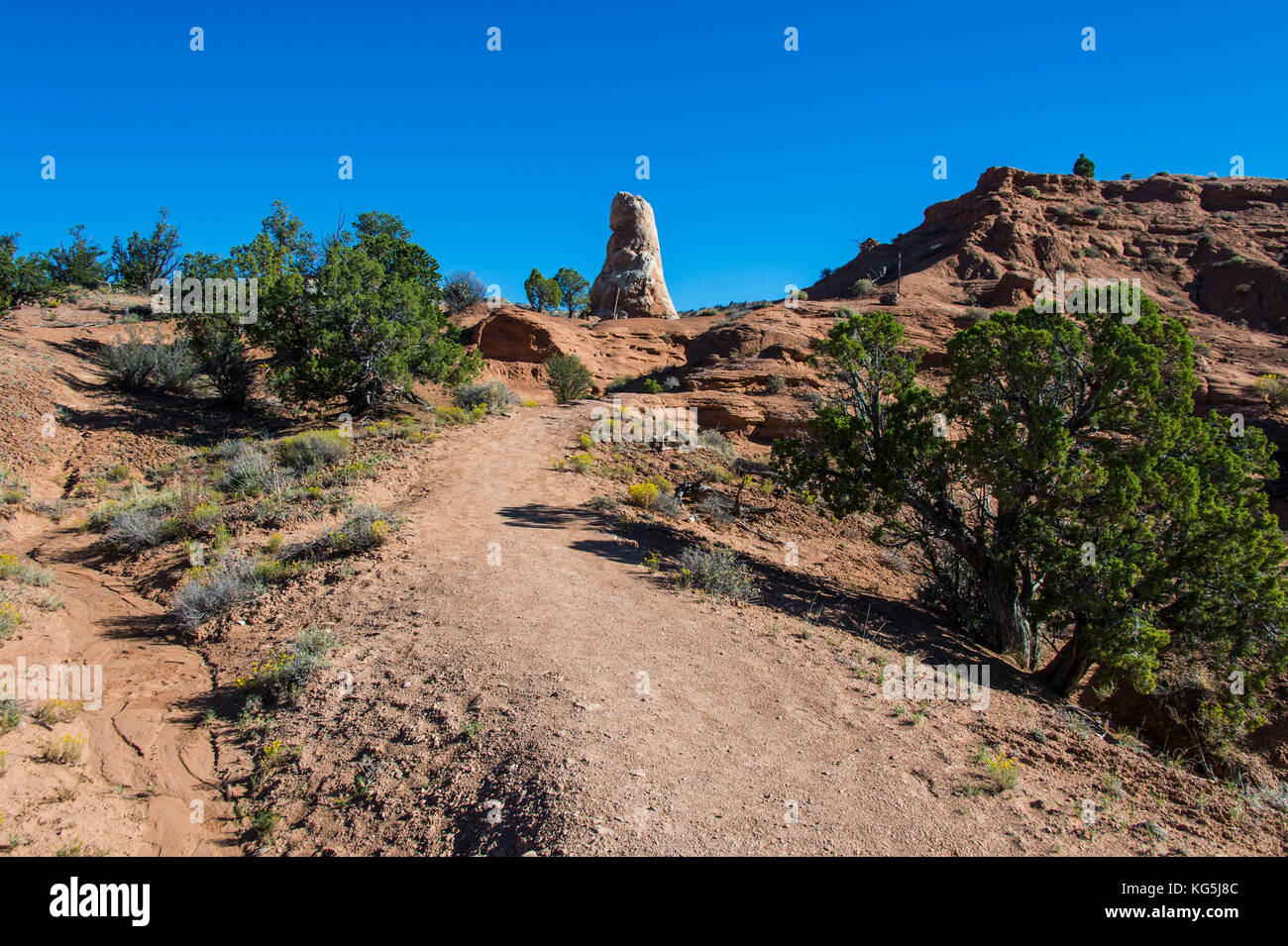 Monolito di pietra nel bacino kodakchrome parco statale, Utah, Stati Uniti d'America Foto Stock