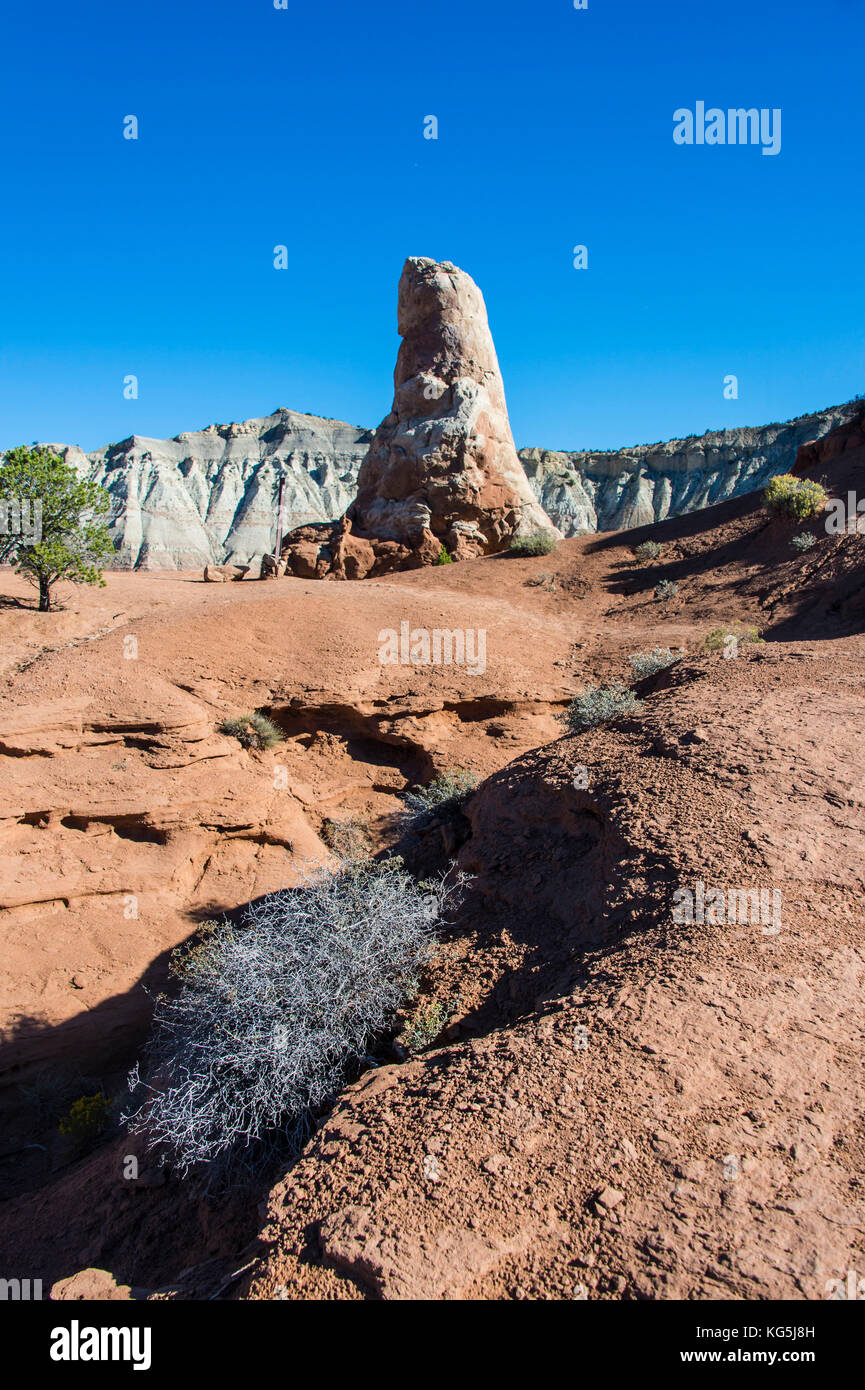 Monolito di pietra nel bacino kodakchrome parco statale, Utah, Stati Uniti d'America Foto Stock