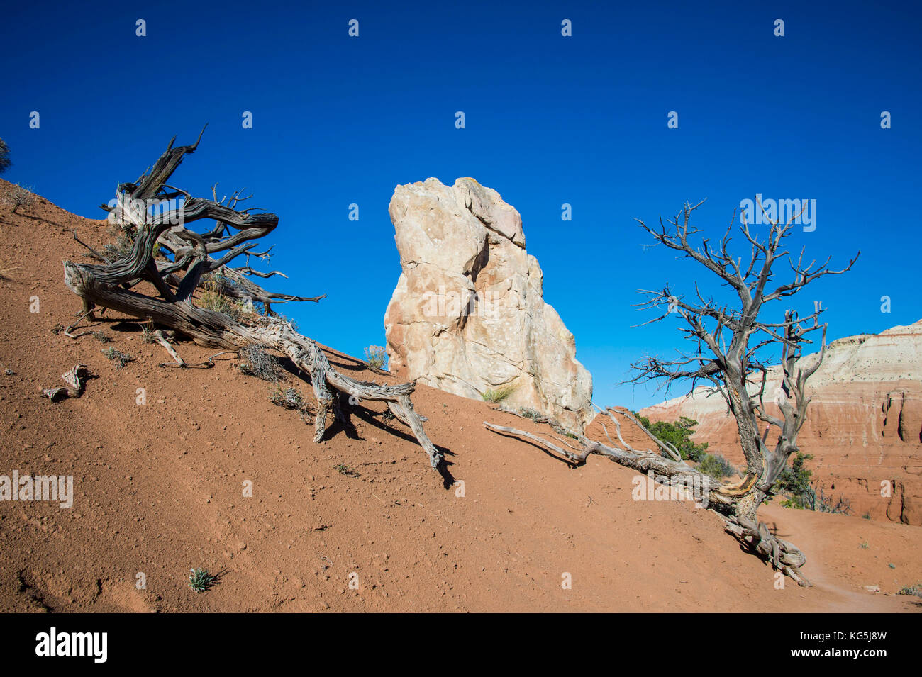 Monolito di pietra nel bacino kodakchrome parco statale, Utah, Stati Uniti d'America Foto Stock