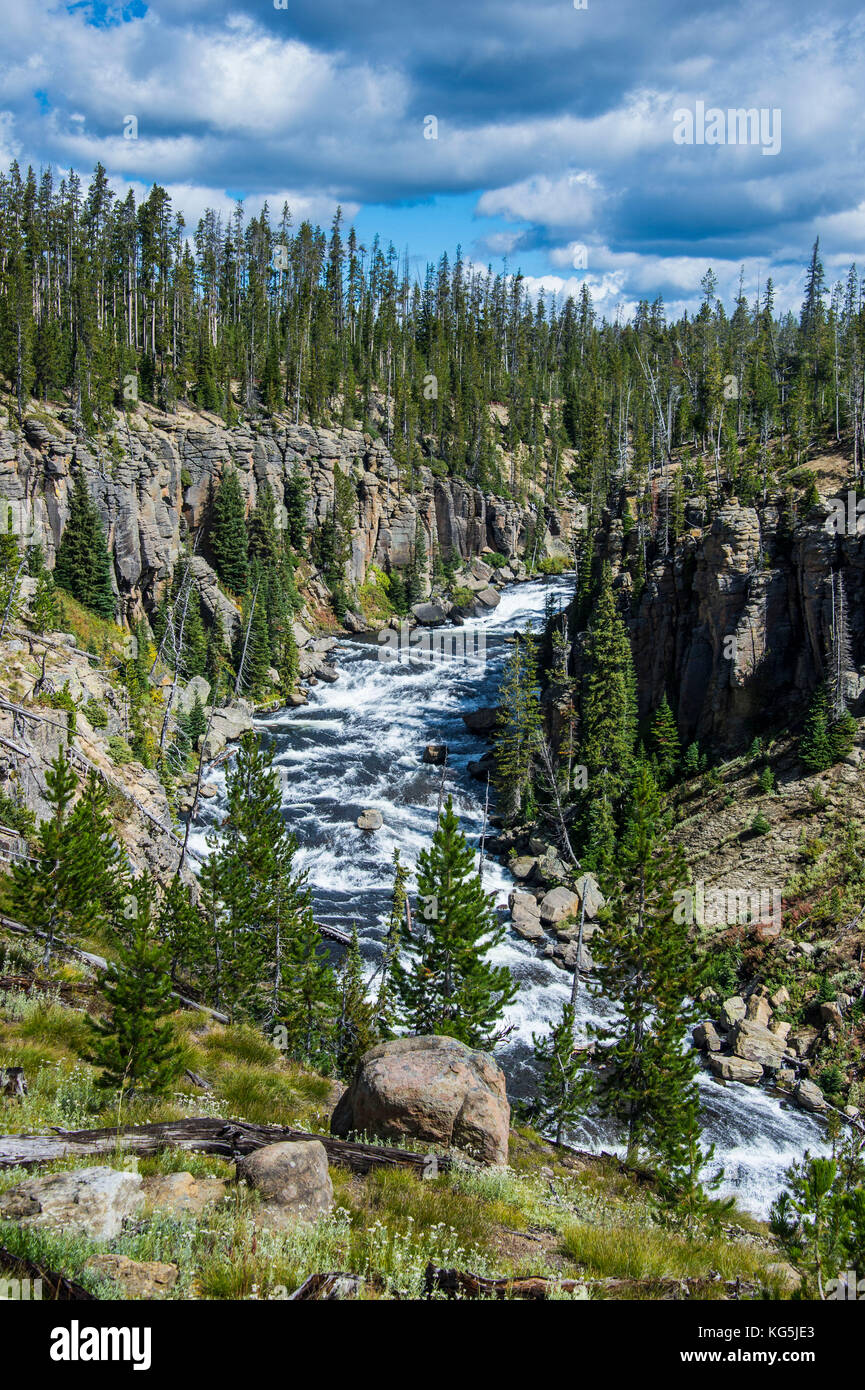 Si affacciano sul fiume di Lewis, il parco nazionale di Yellowstone, Wyoming usa Foto Stock