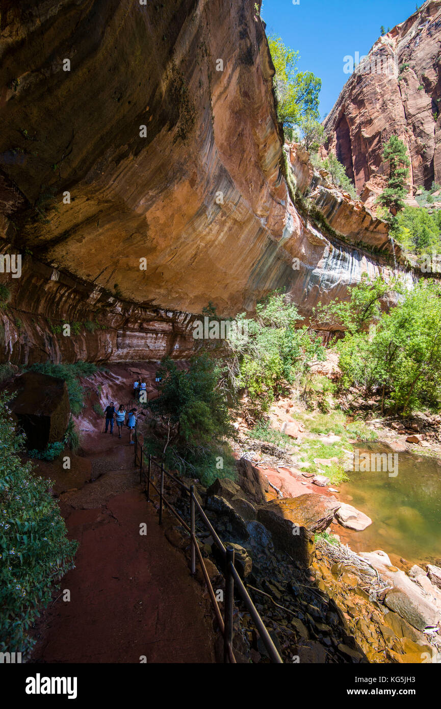 Roccia a strapiombo al pool di smeraldo nel parco nazionale di Zion, Utah, Stati Uniti d'America Foto Stock