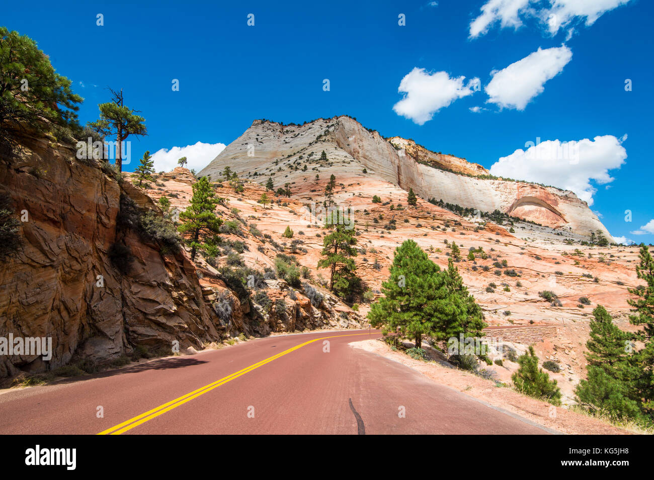 Strada che conduce attraverso il parco nazionale di Zion, Utah, Stati Uniti d'America Foto Stock