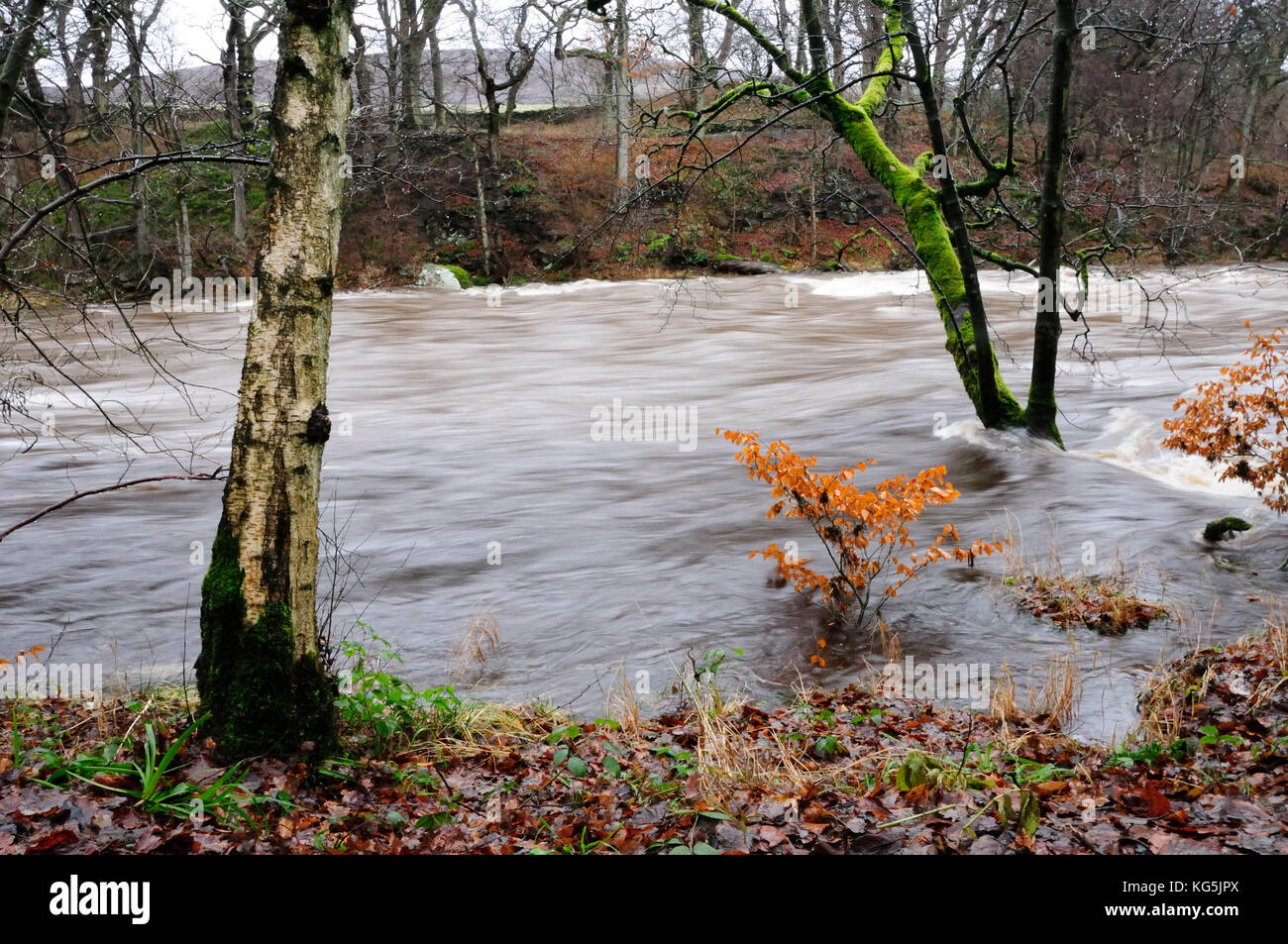 Esecuzione di fiume in autunno Foto Stock