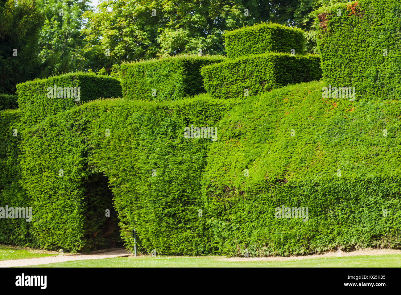 Inghilterra, Cotswolds, Gloucestershire, winchcombe, Castello di Sudeley, hedge fila Foto Stock