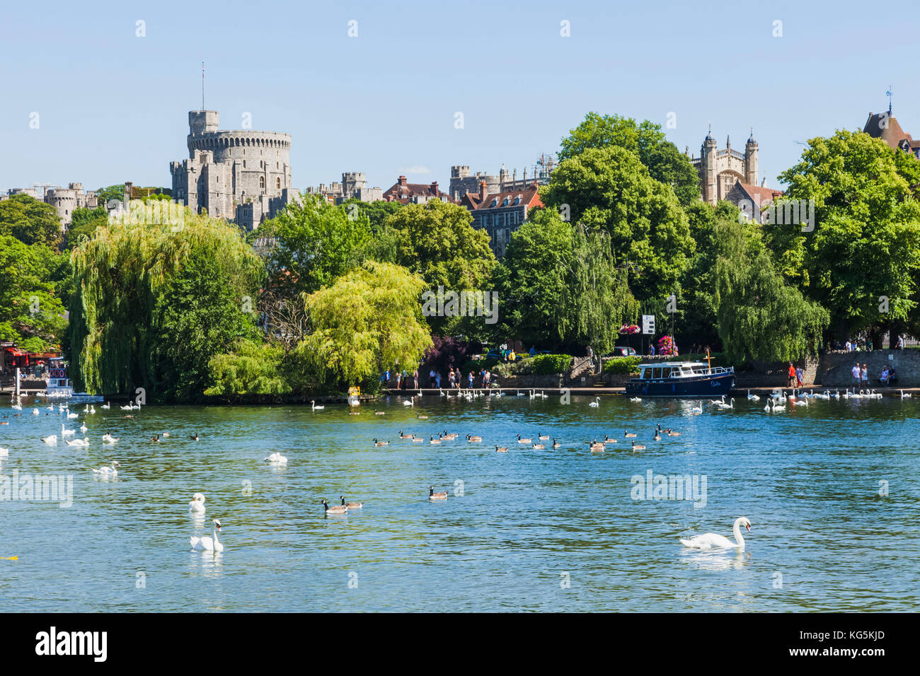 Inghilterra, berkshire, Windsor, Castello di Windsor e il fiume Tamigi Foto Stock