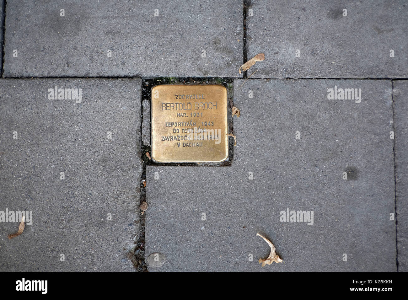 Europa, Repubblica Ceca, Olomouc, Olmütz, pavimentazione, dorata pietra commemorativa Foto Stock