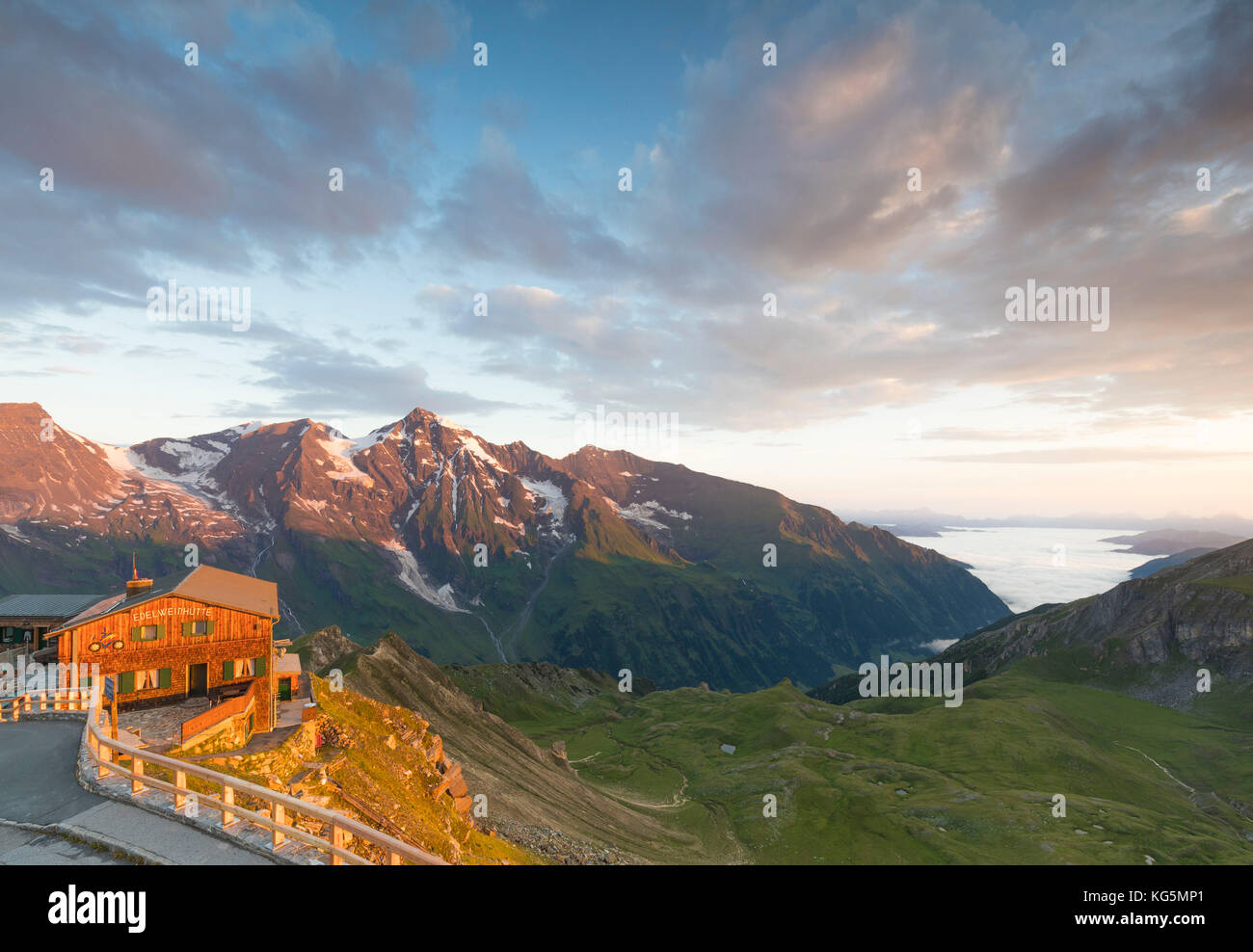 Hig Grossglockner Strada alpina, la quota massima, la stella alpina Malga sull'edelweiss spitze, fusch an der grossglocknerstrasse, Austria Foto Stock