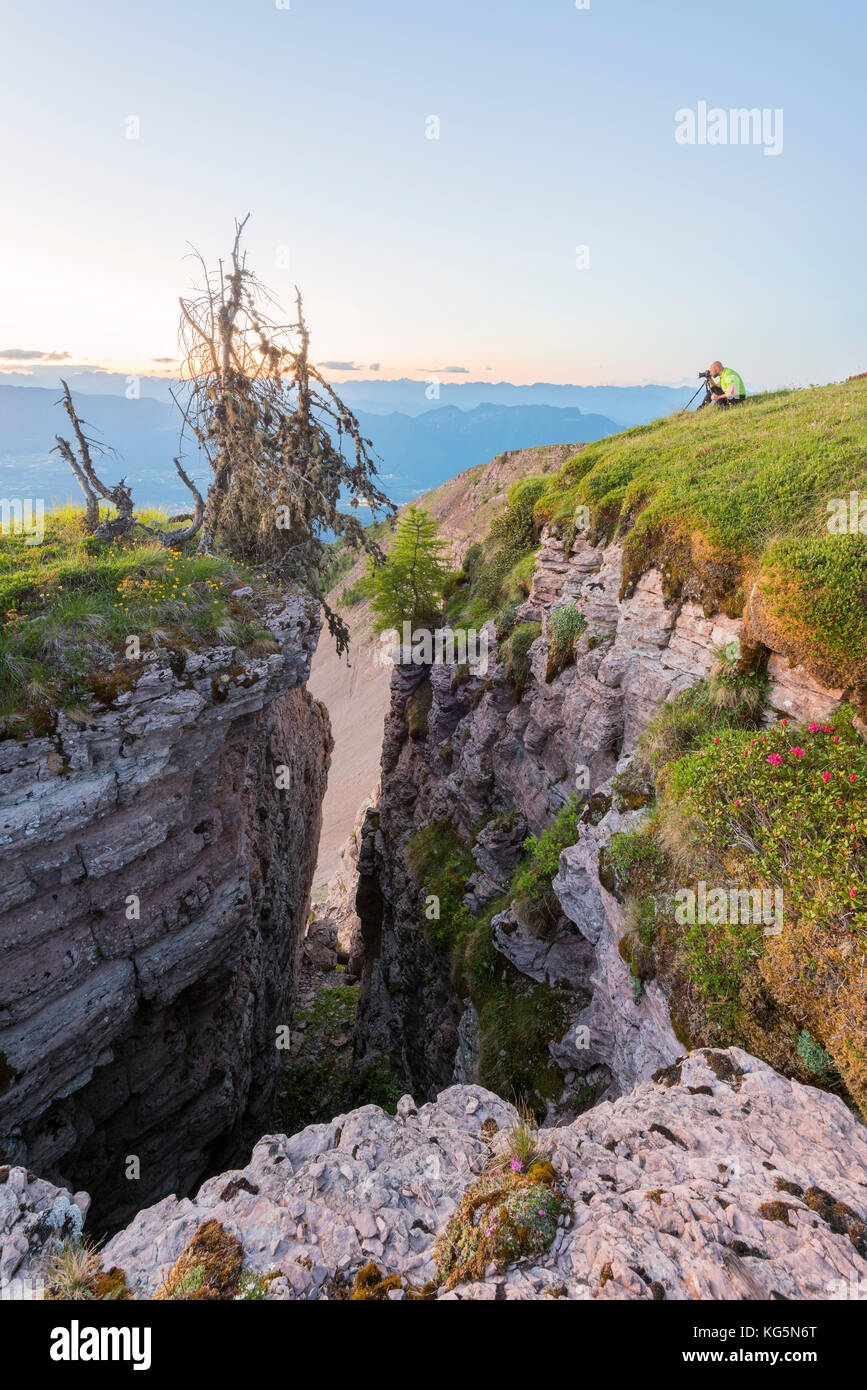 Fotografare l'alba sul Monte Peller europa, italia, trentino alto adige, Val di Non, distretto di Trento, Monte Peller Foto Stock