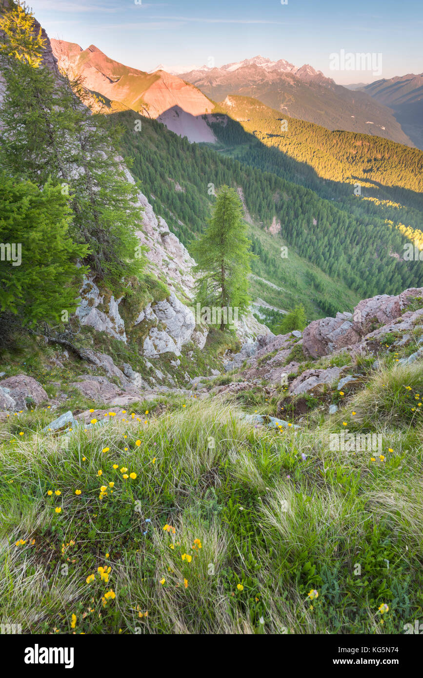 Vista della nana valley east del Peller europa, italia, trentino alto adige, Val di Non, trento distretto, Val di Non, parco naturale Adamello Brenta Foto Stock