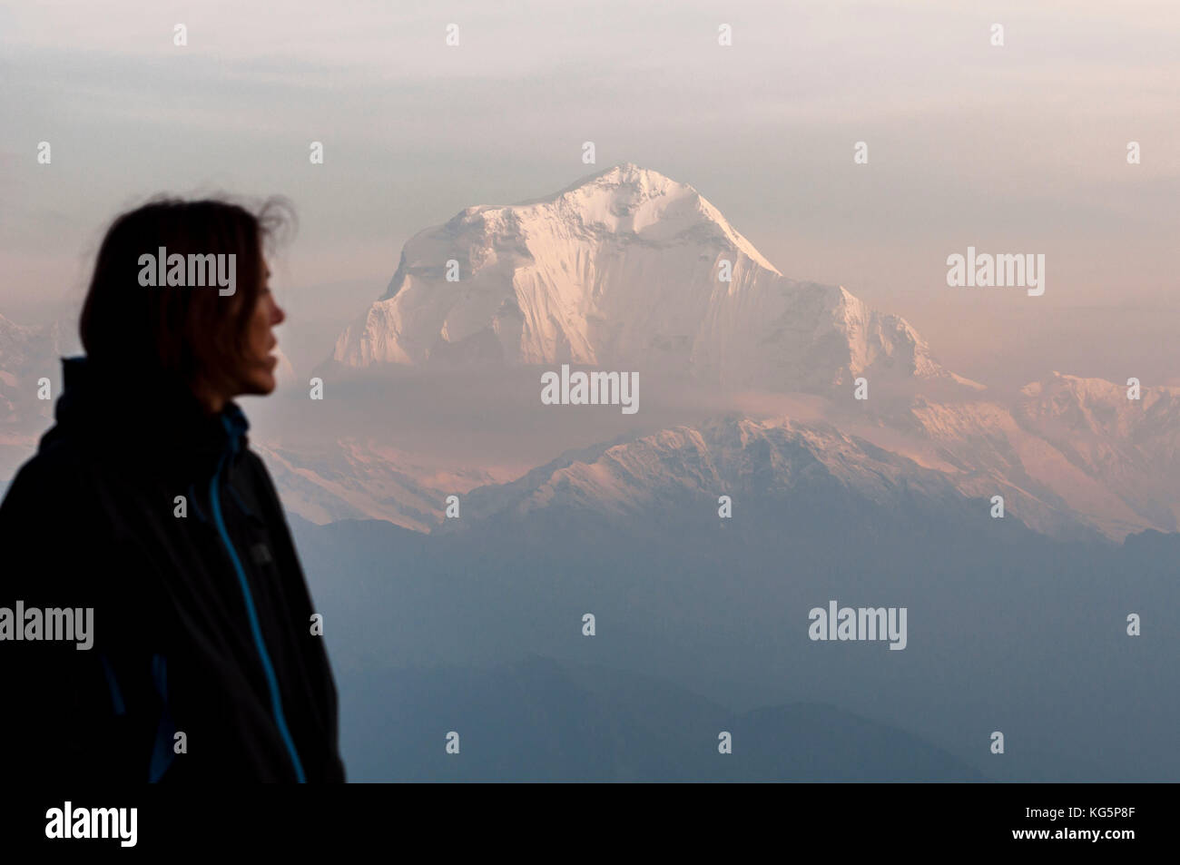 La parete meridionale di Dhaulagiri, la settima montagna più alta della Terra con i suoi 8.167 m., Nepal, Asia Foto Stock