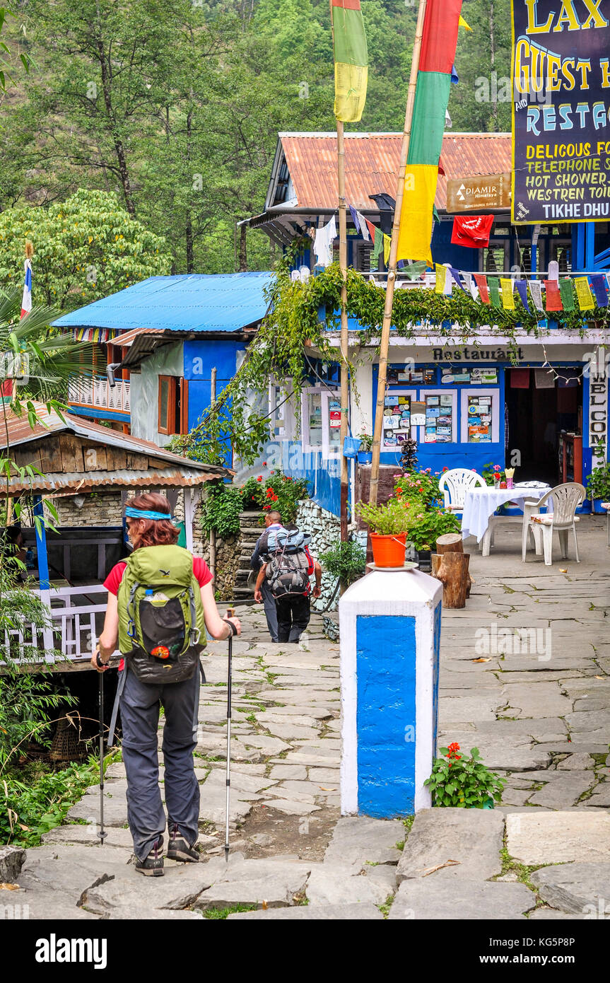 Tipiche casette lungo il sentiero di trekking, regione di Annapurna, Nepal, asia Foto Stock