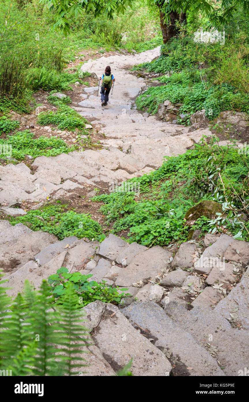 Camminando lungo il percorso di Annapurna base camp trekking, regione di Annapurna, Nepal, asia Foto Stock