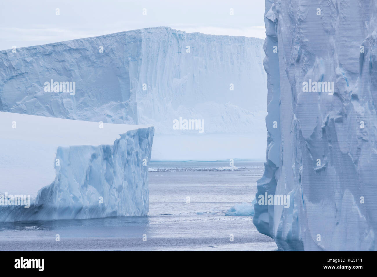 Iceberg tabulari, Antartide Foto Stock