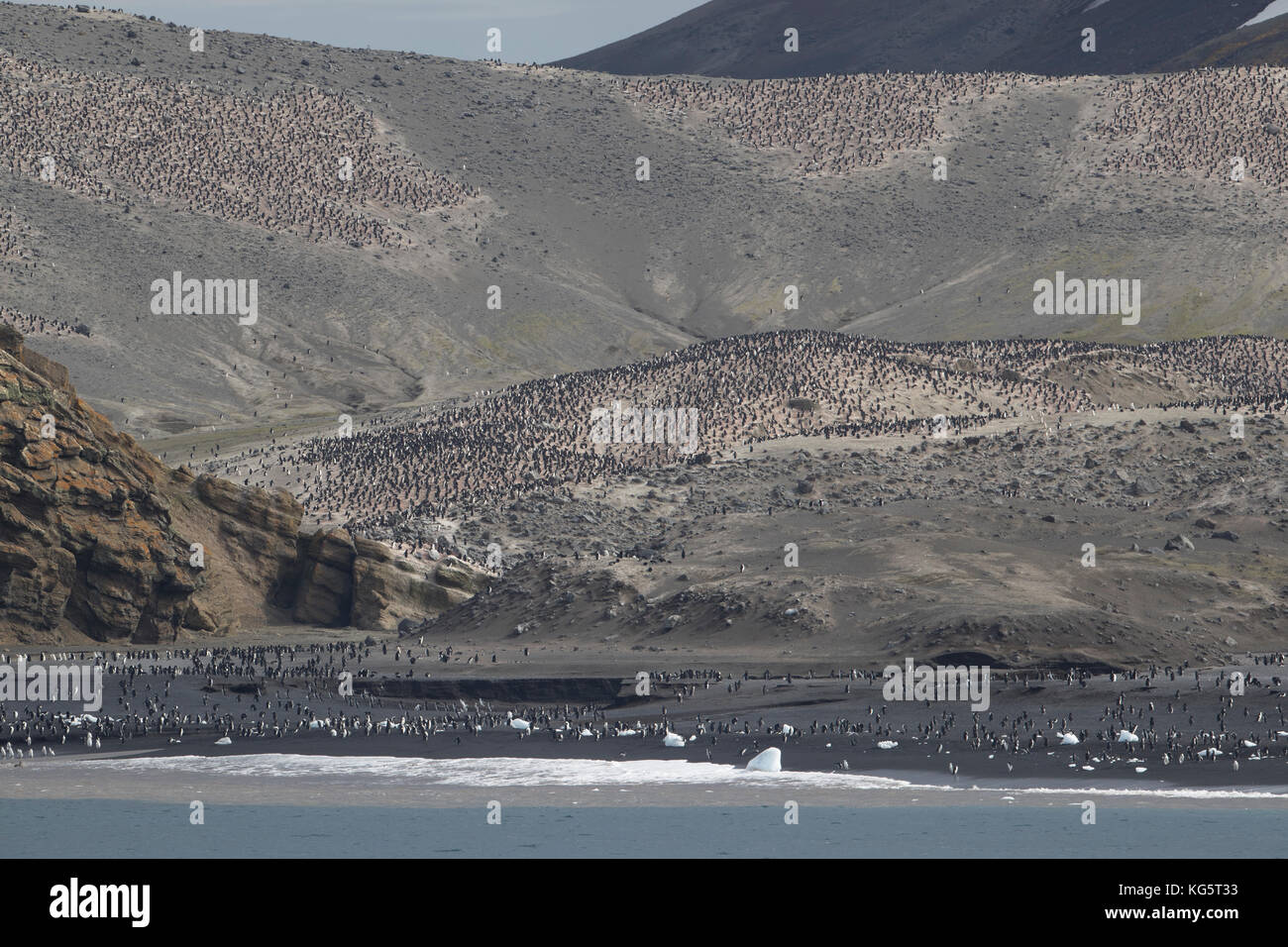 Pinguini Chinstrap colonia, Baily Testa, isola Deception, Antartide. Foto Stock