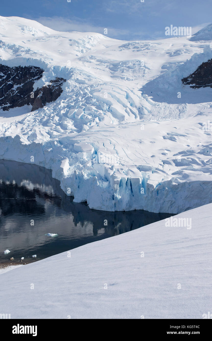 Vista del ghiacciaio da Neko Harbour, Antartico peninsulare Foto Stock