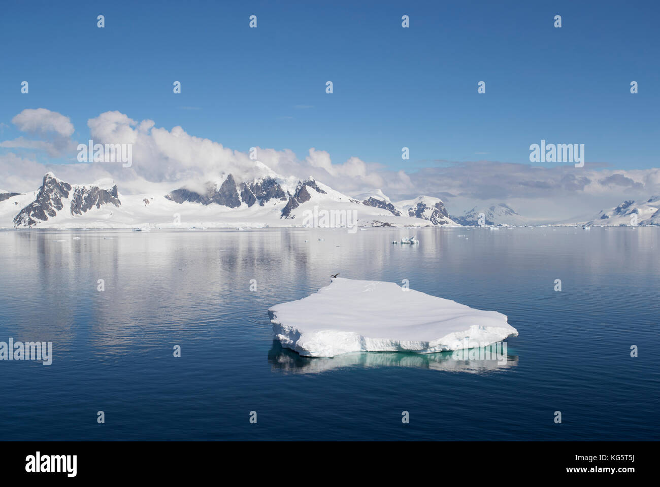 Iceberg e montagne, Antartico peninsulare Foto Stock