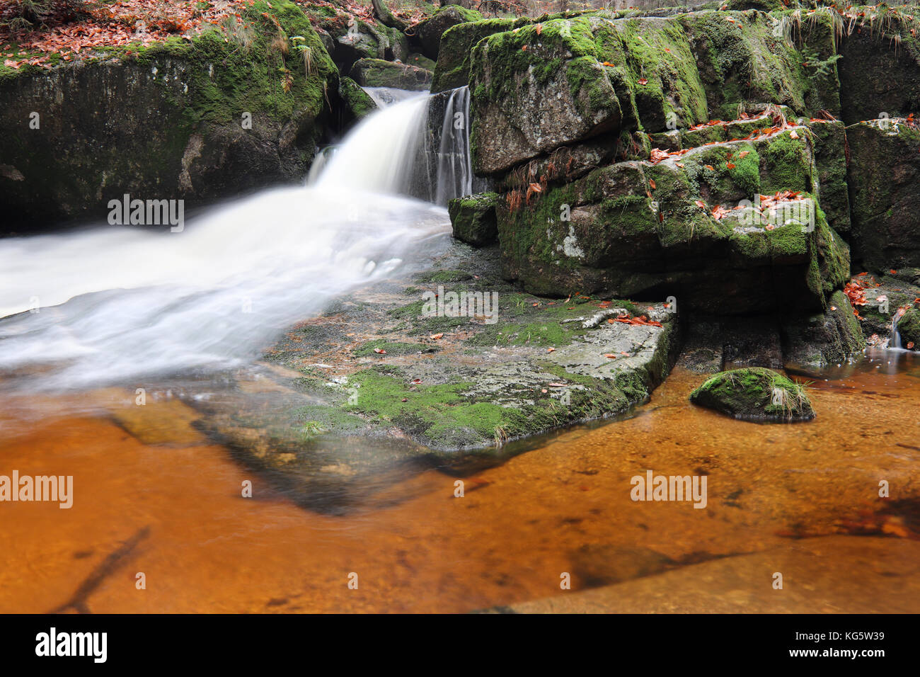 Brook nella foresta di autunno Foto Stock